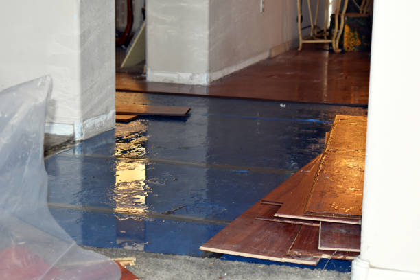 Professional Sewage Cleanup technician working in Rhome, TX